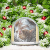 Coz Kitten Snow Globe Christmas Gift Sneeuwbol (Kerstmis)