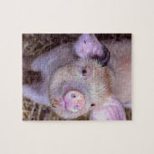Cozmico Legpuzzel (Horizontaal)