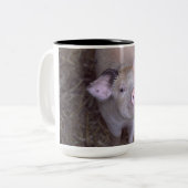 Cozmico Tweekleurige Koffiemok (Voorkant links)