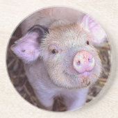 Cozmico Zandsteen Onderzetter (Voorkant)