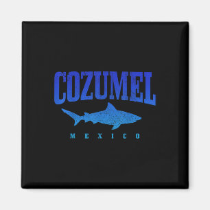 Cozumel Beach Mexico Duiker Haai Duiken Vint Magneet