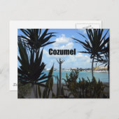 Cozumel Briefkaart (Voorkant / Achterkant)