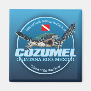 Cozumel (DD2) Magneet