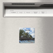 Cozumel Magneet (Insitu (Vaatwasser))