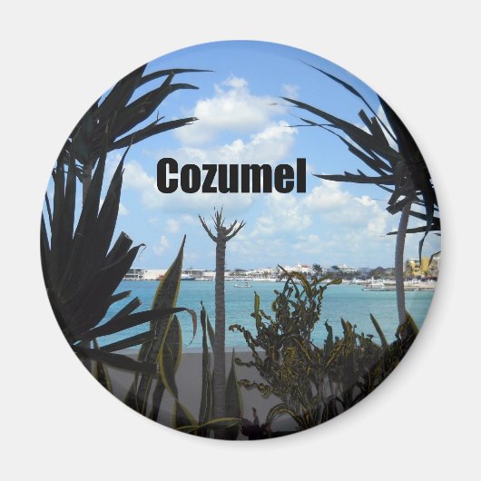 Cozumel Magneet (Voorkant)