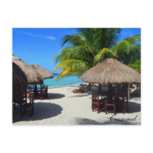 Cozumel Mexico Beach Hut Palm Tree Blauwgroen wate