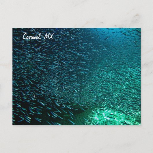 Cozumel Mexico Briefkaart (Voorkant)