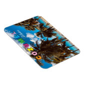 Cozumel Mexico Magnet Magneet (Rechterzijde)