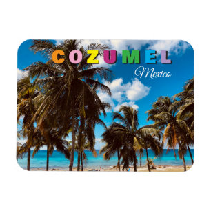 Cozumel Mexico Reis Souvenir Magneet