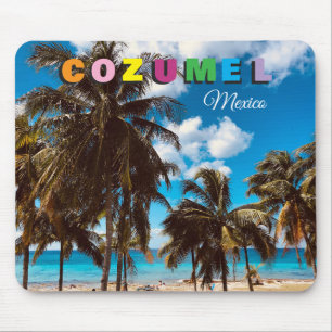 Cozumel Mexico Souvenir Muismat