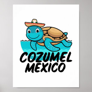 Cozumel Mexico Zeeschildpad Kleurrijke Jongens Mei Poster