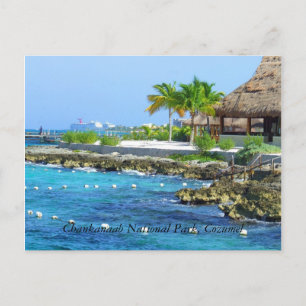 Cozumel Mexique Chankanaab Park Carte postale