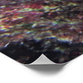 Cozumel Queen Angelfish Poster (Hoek)