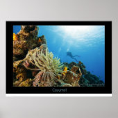 Cozumel Reef Poster (Voorkant)