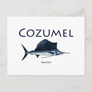 Cozumel Sailfish Briefkaart