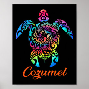 Cozumel Zeeschildpad Familie Vakantie Zomer 2025 Poster