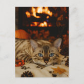 Cozy Autumn Cat Fireplace Warm Fall Postcard Briefkaart (Voorkant)