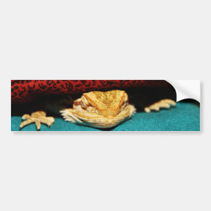 Cozy Bearded Dragon Bumpersticker