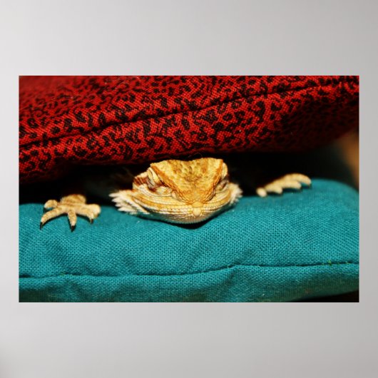 Cozy Bearded Dragon Poster (Voorkant)