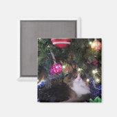 Cozy Cat onder kerstboom Magneet (Voorkant / Achterkant)