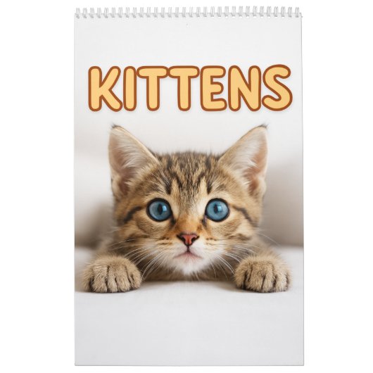 Cozy Cat Photography | Cute Kitten Cat Wall Kalender (Hoes)