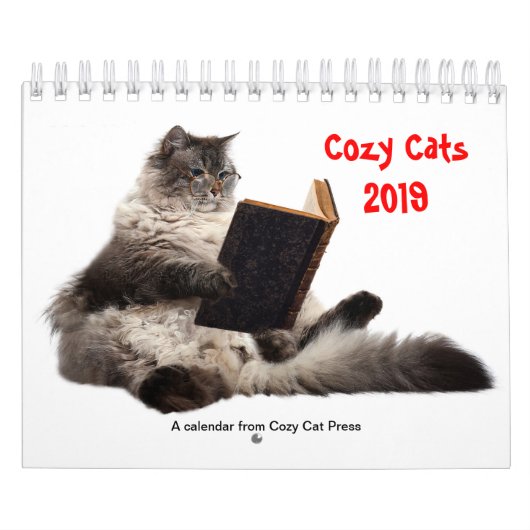 Cozy Cats kalender 2019 (Hoes)