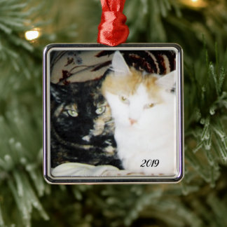 Cozy Cheek to Cheek Cats Foto met Jaar Metalen Ornament