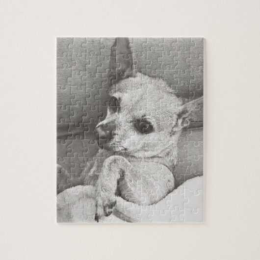 Cozy Chihuahua Puzzle Legpuzzel (Verticaal)