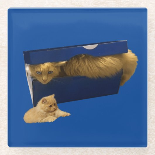 Cozy Hideaway: De gemberkat in de schoenendoos Glazen Onderzetter (Voorkant)
