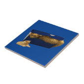 Cozy Hideaway: De gemberkat in de schoenendoos Tegeltje (Zijkant)