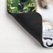 Cozy Kittens Calico Persian Kittens Mousepad Muismat (Hoek)