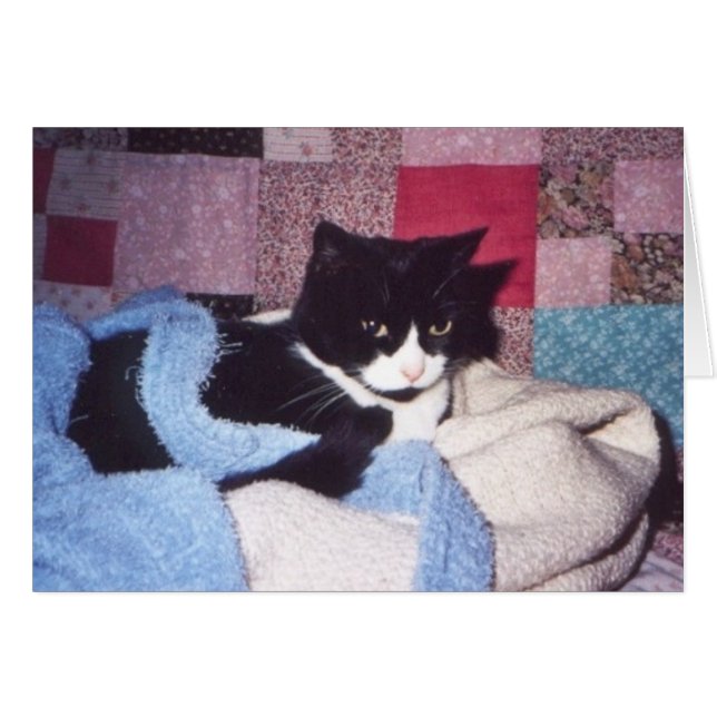 "Cozy Tiki" (Voorkant Horizontaal)