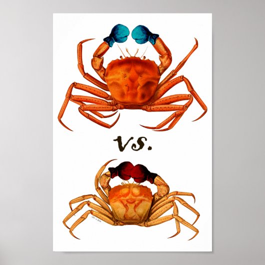 Crab Boxing Glove  Sport Humor Surreal Poster (Voorkant)
