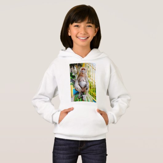 Crab-eating macaque (Devant entier)