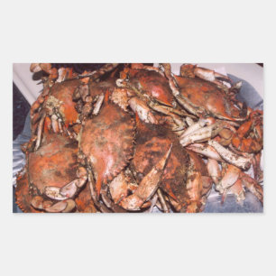 Crab Feast Rechthoekige Sticker
