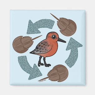 Crab-Knot Cycle Magneet