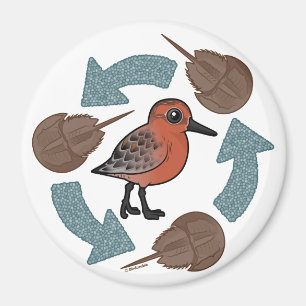 Crab-Knot Cycle Magneet