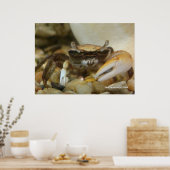 Crab Louis Poster (Keuken)