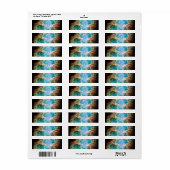 Crab Nebula Etiket (Full Sheet)