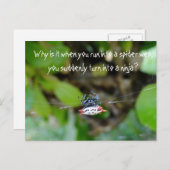 Crab Spider Briefkaart/Funny Ninja Quote Briefkaart (Voorkant / Achterkant)