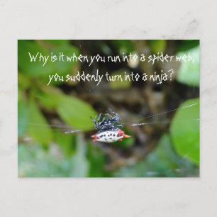 Crab Spider Briefkaart/Funny Ninja Quote Briefkaart