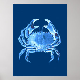 Crab Zee Life Print, Indigo Blue en White Poster