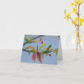 crabapple bloesems kaart (Gele Bloem)