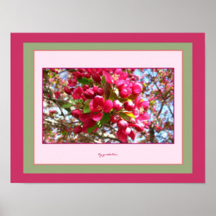Crabapple Blossom 2 Foto van gretchen Poster
