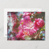 Crabapple Blossom Briefkaart (Voorkant / Achterkant)