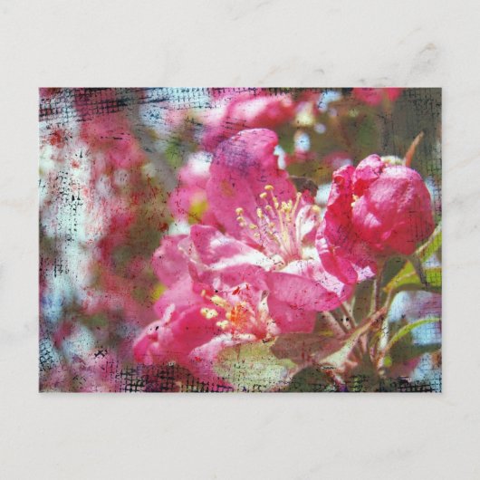 Crabapple Blossom Briefkaart (Voorkant)