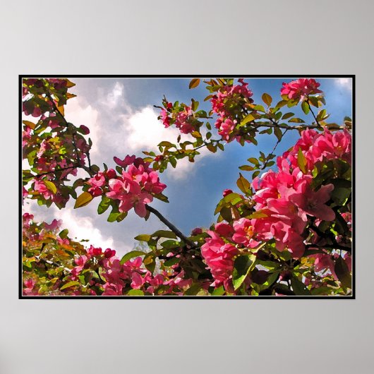 Crabapple Blossom Poster (Voorkant)