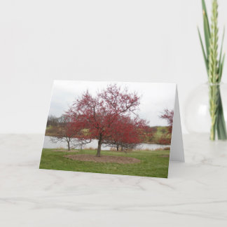 Crabapple Feestdagen Kaart