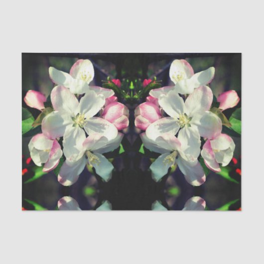 Crabapple Spring Flower Blossom Decoupage Tissuepapier (Voorkant)