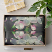 Crabapple Spring Flower Blossom Decoupage Tissuepapier (Geschenk)